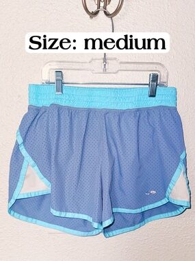 Champion Light Blue and Aqua Women's Athletic Shorts